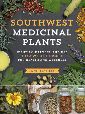 cover image of Southwest Medicinal Plants